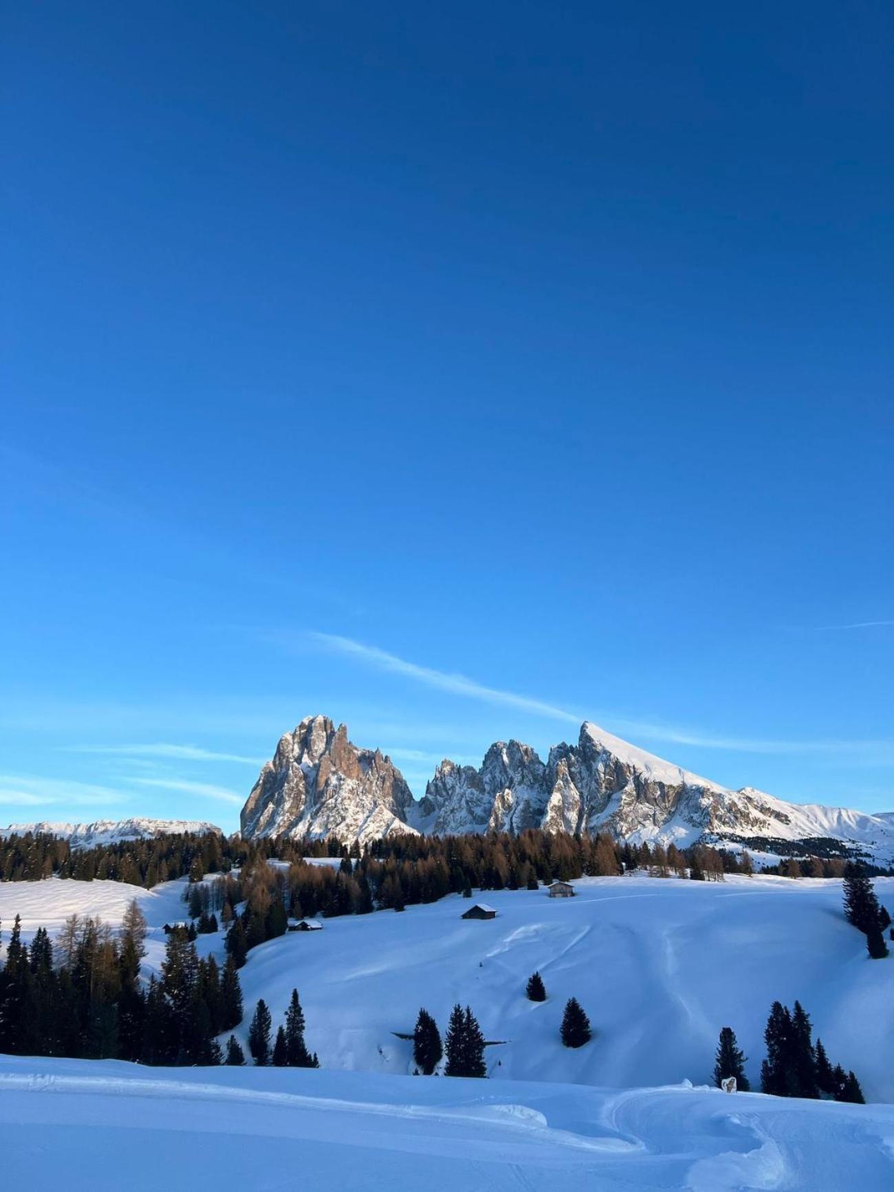 Vila Planitzhof Castelrotto Exteriér fotografie